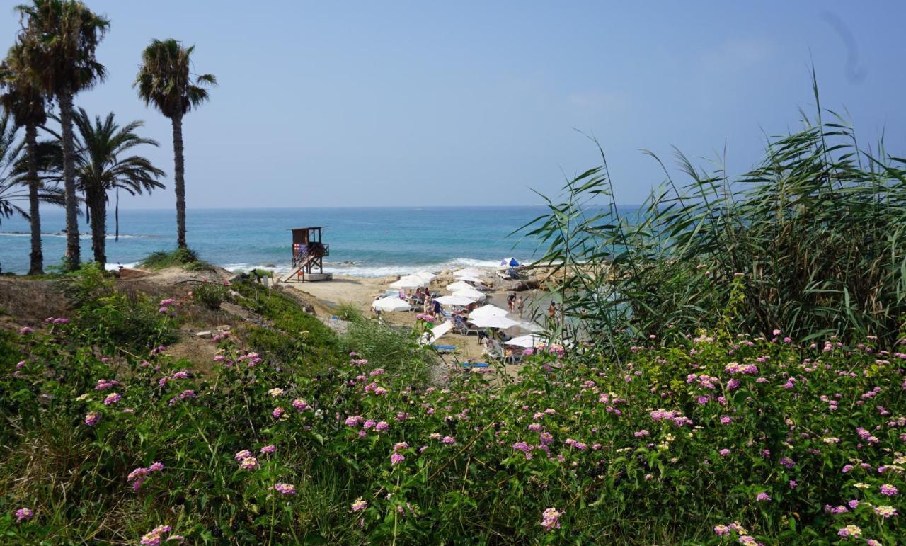 Paphos Gardens, Near Beach Zewnętrze zdjęcie